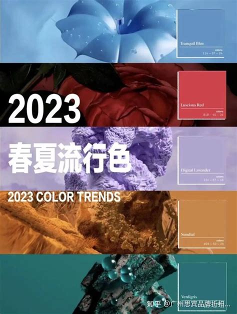 2023年顏色|2023年流行色彩：淡黃色、海藍色、薰衣草紫，帶來。